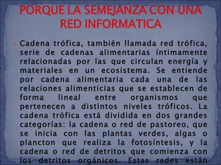 Cadena trófica, también llamada red trófica, serie de cadenas alimentarias íntimamente relacionadas por las que circulan energía y materiales en un ecosistema. Se entiende por cadena alimentaria cada una de las relaciones alimenticias que se establecen de forma lineal entre organismos que pertenecen a distintos niveles tróficos. La cadena trófica está dividida en dos grandes categorías: la cadena o red de pastoreo, que se inicia con las plantas verdes, algas o plancton que realiza la fotosíntesis, y la cadena o red de detritos que comienza con los detritos orgánicos. Estas redes están formadas por cadenas alimentarias independientes. 