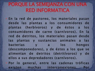 En la red de pastoreo, los materiales pasan desde las plantas a los consumidores de plantas (herbívoros) y de éstos a los consumidores de carne (carnívoros). En la red de detritos, los materiales pasan desde las plantas y sustancias animales a las bacterias y a los hongos (descomponedores), y de éstos a los que se alimentan de detritos (detritívoros) y de ellos a sus depredadores (carnívoros). Por lo general, entre las cadenas tróficas existen muchas interconexiones. Por ejemplo, los hongos que descomponen la materia en una red de detritos pueden dar origen a setas que s 