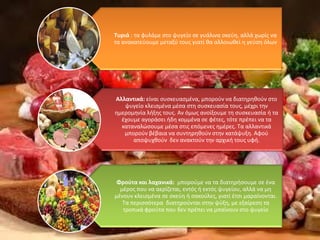 Τυριά : τα φυλάμε στο ψυγείο σε γυάλινα σκεύη, αλλά χωρίς να
τα ανακατεύουμε μεταξύ τους γιατί θα αλλοιωθεί η γεύση όλων
Αλλαντικά: είναι συσκευασμένα, μπορούν να διατηρηθούν στο
ψυγείο κλεισμένα μέσα στη συσκευασία τους, μέχρι την
ημερομηνία λήξης τους. Αν όμως ανοίξουμε τη συσκευασία ή τα
έχουμε αγοράσει ήδη κομμένα σε φέτες, τότε πρέπει να τα
καταναλώσουμε μέσα στις επόμενες ημέρες. Τα αλλαντικά
μπορούν βέβαια να συντηρηθούν στην κατάψυξη. Αφού
αποψυχθούν δεν ανακτούν την αρχική τους υφή.
Φρούτα και λαχανικά: μπορούμε να τα διατηρήσουμε σε ένα
μέρος που να αερίζεται, εντός ή εκτός ψυγείου, αλλά να μη
μένουν κλεισμένα σε σκεύη ή σακούλες, γιατί έτσι μαραίνονται.
Τα περισσότερα διατηρούνται στην ψύξη, με εξαίρεση τα
τροπικά φρούτα που δεν πρέπει να μπαίνουν στο ψυγείο
 