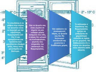 Τα ντουλάπια ή τα
ράφια στην πόρτα
του ψυγείου είναι
οι περιοχές με την
υψηλότερη
θερμοκρασία (10-
15ο C) και
προορίζονται για
προϊόντα που
χρειάζονται ελαφρά
ψύξη, όπως ποτά,
μουστάρδα και
βούτυρο.
Εάν το ψυγείο σας
είναι γεμάτο σε
σημείο να μην
υπάρχει χώρος
ανάμεσα στα είδη,
ο αέρας δεν μπορεί
να κυκλοφορήσει,
γεγονός που
επηρεάζει την
κατανομή της
θερμοκρασίας.
Εάν αφήσετε να
συσσωρευτεί
πάγος, το ψυγείο
σας δεν θα
λειτουργεί
αποδοτικά και
μειώνεται ο
διαθέσιμος χώρος.
Το καλοκαίρι ο
διακόπτης της
θερμοκρασίας
πρέπει να
ρυθμίζεται σε
χαμηλότερα
επίπεδα σε σχέση
με τον χειμώνα. Να
βεβαιώνεστε ότι η
πόρτα του ψυγείου
είναι πάντοτε καλά
κλειστή.
 