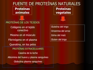 FUENTE DE PROTEÍNAS NATURALES Proteínas animales Proteínas vegetales PROTEÍNAS DE LOS TEJIDOS Colágeno en el tejido conectivo Miosina en el músculo Fibrinógeno en el plasma Queratina, en los pelos PROTEÍNAS EXTRACELULARES Caseína de la leche Albúmina del huevo y plasma sanguíneo Globulina plasma sanguíneo Gluteína del trigo Orizemna del arroz Zeína del maíz Gluten del trigo 