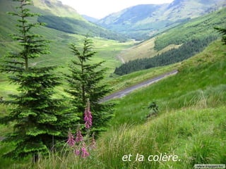 et la colère.