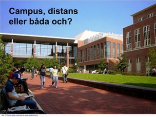 Campus, distans
          eller båda och?




Bild: CC Some rights reserved by anne.oeldorfhirsch
 