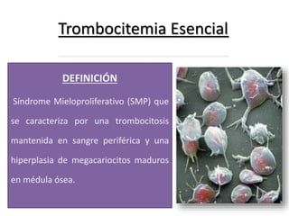 Trombocitemia Esencial
DEFINICIÓN
Síndrome Mieloproliferativo (SMP) que
se caracteriza por una trombocitosis
mantenida en sangre periférica y una
hiperplasia de megacariocitos maduros
en médula ósea.
 
