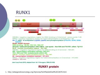 Runx1 Inheritance Trombocitopenia familiar runx1 | PPTX