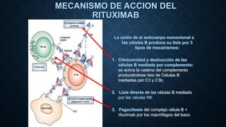 MECANISMO DE ACCION DEL
RITUXIMAB
La unión de el anticuerpo monoclonal a
las células B produce su lisis por 3
tipos de mecanismos:
1. Citotoxicidad y destrucción de las
células B mediada por complemento:
se activa la cadena del complemento
produciéndose lisis de Células B
mediadas por C3 y C3b.
2. Lisis directa de las células B mediado
por las células NK
3. Fagocitosis del complejo célula B +
rituximab por los macrófagos del bazo.
 