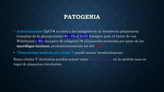 PATOGENIA
• Autoanticuerpos [IgG] se unen a los antígenos de la membrana plaquetaria
(complejo de la glucoproteína IIb / IIIa), Ib/IX (receptor para el factor de von
Willebrand y /IIa (receptor de colágeno). eliminación acelerada por parte de los
macrófagos tisulares, predominantemente los del bazo.
• Citotoxicidad mediada por células T puede causar trombocitopenia.
Estas células T citotóxicas pueden actuar sobre megacariocitos en la médula ósea en
lugar de plaquetas circulantes.
 