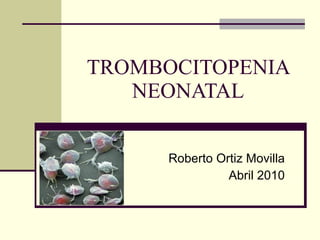 TROMBOCITOPENIA NEONATAL Roberto Ortiz Movilla Abril 2010 
