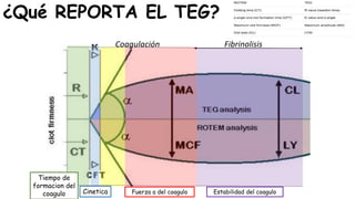 ¿Qué REPORTA EL TEG?
Coagulación Fibrinolisis
Tiempo de
formacion del
coagulo Cinetica Fuerza a del coagulo Estabilidad del coagulo
 