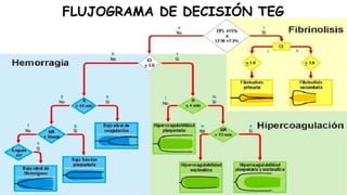 FLUJOGRAMA DE DECISIÓN TEG
 