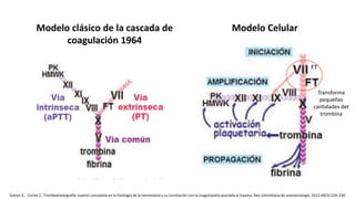 Modelo clásico de la cascada de
coagulación 1964
Galvez K, Cortes C. Tromboelastografía: nuevos conceptos en la fisiología de la hemostasia y su correlación con la coagulopatía asociada al trauma. Rev colombiana de anestesiología. 2012;40(3):224–230
Modelo Celular
Transforma
pequeñas
cantidades det
trombina
FT
 