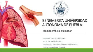 BENEMERITA UNIVERSIDAD
AUTONOMA DE PUEBLA
AGUILAR PAREDES STEFANIE.
CRUZ ONTIVEROS ANALY.
RODRÍGUEZ TRINIDAD DEYANIRA AMAIRANI.
VILLALBA CABRERA PAMELA.
Tromboembolia Pulmonar
 