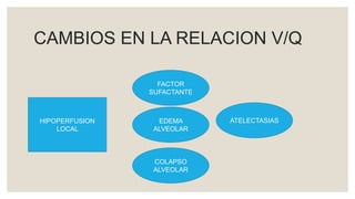 CAMBIOS EN LA RELACION V/Q
HIPOPERFUSION
LOCAL
FACTOR
SUFACTANTE
EDEMA
ALVEOLAR
COLAPSO
ALVEOLAR
ATELECTASIAS
 