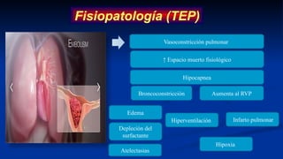 Fisiopatología (TEP)
Vasoconstricción pulmonar
↑ Espacio muerto fisiológico
Depleción del
surfactante
Hipocapnea
Aumenta al RVP
Edema
Atelectasias
Hiperventilación
Broncoconstricción
Infarto pulmonar
Hipoxia
 