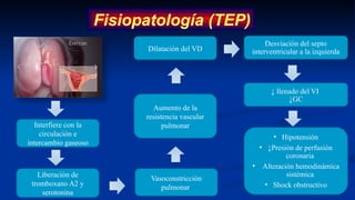 Fisiopatología (TEP)
Interfiere con la
circulación e
intercambio gaseoso
Liberación de
tromboxano A2 y
serotonina
Vasoconstricción
pulmonar
Aumento de la
resistencia vascular
pulmonar
Dilatación del VD
Desviación del septo
interventricular a la izquierda
↓ llenado del VI
↓GC
• Hipotensión
• ↓Presión de perfusión
coronaria
• Alteración hemodinámica
sistémica
• Shock obstructivo
 