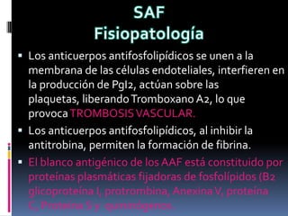  Los anticuerpos antifosfolipídicos se unen a la
  membrana de las células endoteliales, interfieren en
  la producción de PgI2, actúan sobre las
  plaquetas, liberando Tromboxano A2, lo que
  provoca TROMBOSIS VASCULAR.
 Los anticuerpos antifosfolipídicos, al inhibir la
  antitrobina, permiten la formación de fibrina.
 El blanco antigénico de los AAF está constituido por
  proteínas plasmáticas fijadoras de fosfolípidos (B2
  glicoproteína I, protrombina, Anexina V, proteína
  C, Proteína S y quininógenos.
 