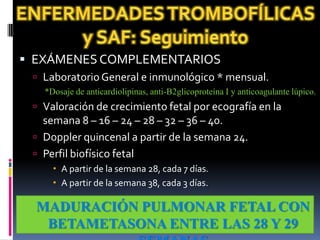  EXÁMENES COMPLEMENTARIOS
  Laboratorio General e inmunológico * mensual.
   *Dosaje de anticardiolipinas, anti-B2glicoproteína I y anticoagulante lúpico.
  Valoración de crecimiento fetal por ecografía en la
   semana 8 – 16 – 24 – 28 – 32 – 36 – 40.
  Doppler quincenal a partir de la semana 24.
  Perfil biofísico fetal
      A partir de la semana 28, cada 7 días.
      A partir de la semana 38, cada 3 días.

  MADURACIÓN PULMONAR FETAL CON
   BETAMETASONA ENTRE LAS 28 Y 29
 