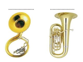 ....................   ...................
 