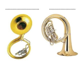 ...........................   .....................
 