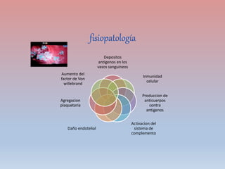 fisiopatología
Depositos
antigenos en los
vasos sanguineos
Inmunidad
celular
Produccion de
anticuerpos
contra
antigenos
Activacion del
sistema de
complemento
Daño endotelial
Agregacion
plaquetaria
Aumento del
factor de Von
willebrand
 