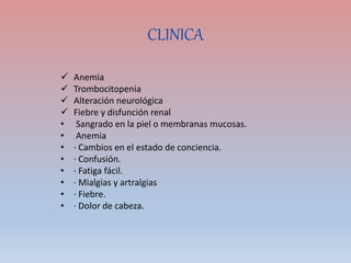CLINICA
 Anemia
 Trombocitopenia
 Alteración neurológica
 Fiebre y disfunción renal
• Sangrado en la piel o membranas mucosas.
• Anemia
• · Cambios en el estado de conciencia.
• · Confusión.
• · Fatiga fácil.
• · Mialgias y artralgias
• · Fiebre.
• · Dolor de cabeza.
 