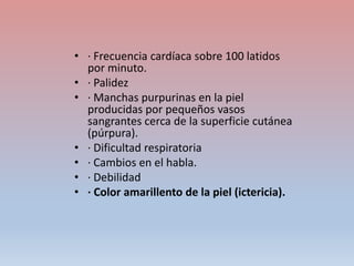 • · Frecuencia cardíaca sobre 100 latidos
por minuto.
• · Palidez
• · Manchas purpurinas en la piel
producidas por pequeños vasos
sangrantes cerca de la superficie cutánea
(púrpura).
• · Dificultad respiratoria
• · Cambios en el habla.
• · Debilidad
• · Color amarillento de la piel (ictericia).
 