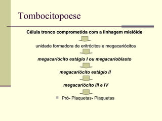 Tombocitopoese
Célula tronco comprometida com a linhagem mielóideCélula tronco comprometida com a linhagem mielóide
unidade formadora de eritrócitos e megacariócitosunidade formadora de eritrócitos e megacariócitos
megacariócito estágio I ou megacarioblasto
megacariócito estágio II
megacariócito III e IV
 Pró- Plaquetas- Plaquetas
 