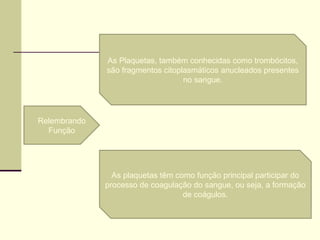 As Plaquetas, também conhecidas como trombócitos,
são fragmentos citoplasmáticos anucleados presentes
no sangue.
As plaquetas têm como função principal participar do
processo de coagulação do sangue, ou seja, a formação
de coágulos.
Relembrando
Função
 