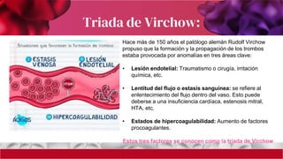 trombosis-patologia-veterinaria-pptx