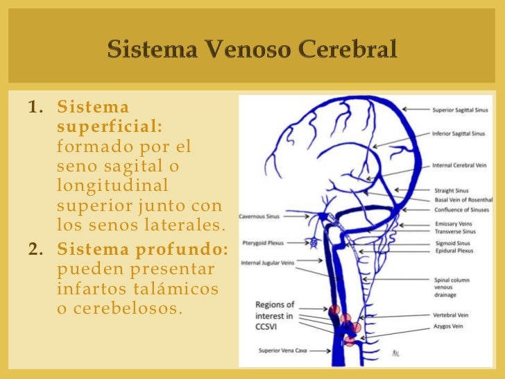 El tratamiento de la tromboflebitis de los pies los medios públicos