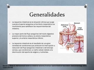 Generalidades
O

La isquemia intestinal es la situación clínica que surge
cuando el aporte sanguíneo al territorio mesentérico es
insuficiente para satisfacer los requerimientos del
intestino.

O

La mayor parte del flujo sanguíneo del tracto digestivo
proviene del tronco celíaco, la arteria mesentérica
superior y la arteria mesentérica inferior.

O

La isquemia intestinal es el resultado de una gran
variedad de condiciones que producen la interrupción o
reducción del flujo sanguíneo intestinal o del drenaje
venoso, que condicionan un daño celular debido a la
disminución del aporte de oxígeno y nutrientes.

Brandt LJ, Boley SJ. AGA technical review on intestinal ischemia American Gastrointestinal Association. Gastroenterology. 2000;
118(5):954-68.

 