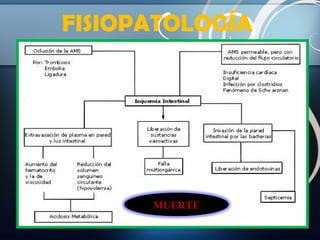 FISIOPATOLOGÍA

MUERTE

 