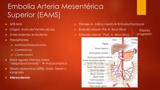 Embolia Arteria Mesentérica
Superior (EAMS)
 50% IMA
 Origen: Aurícula/Ventrículo izq.
 Antecedentes embolismo
 Precipitantes
 Arritmias/Fibrilación/IAM
 Cateterismos
 Cardioversión
 Dolor agudo intenso/ Dolor
“desproporcionado”  Mal pronóstico
 Triada abdominal (30%): Dolor, fiebre y
sangrado
 Aterosclerosis
 Distales A. cólica media Embolia/trombosis
 Embolia Mayor: Pre A. ileocólica
 Embolia Menor: Post. A. ileocólica
Rápida
progresión
 