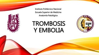 TROMBOSIS
Y EMBOLIA
Instituto Politécnico Nacional
Escuela Superior de Medicina
Anatomía Patológica
 