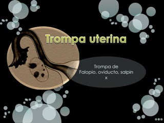 Trompa uterina  Trompa de Falopio, oviducto, salpinx   