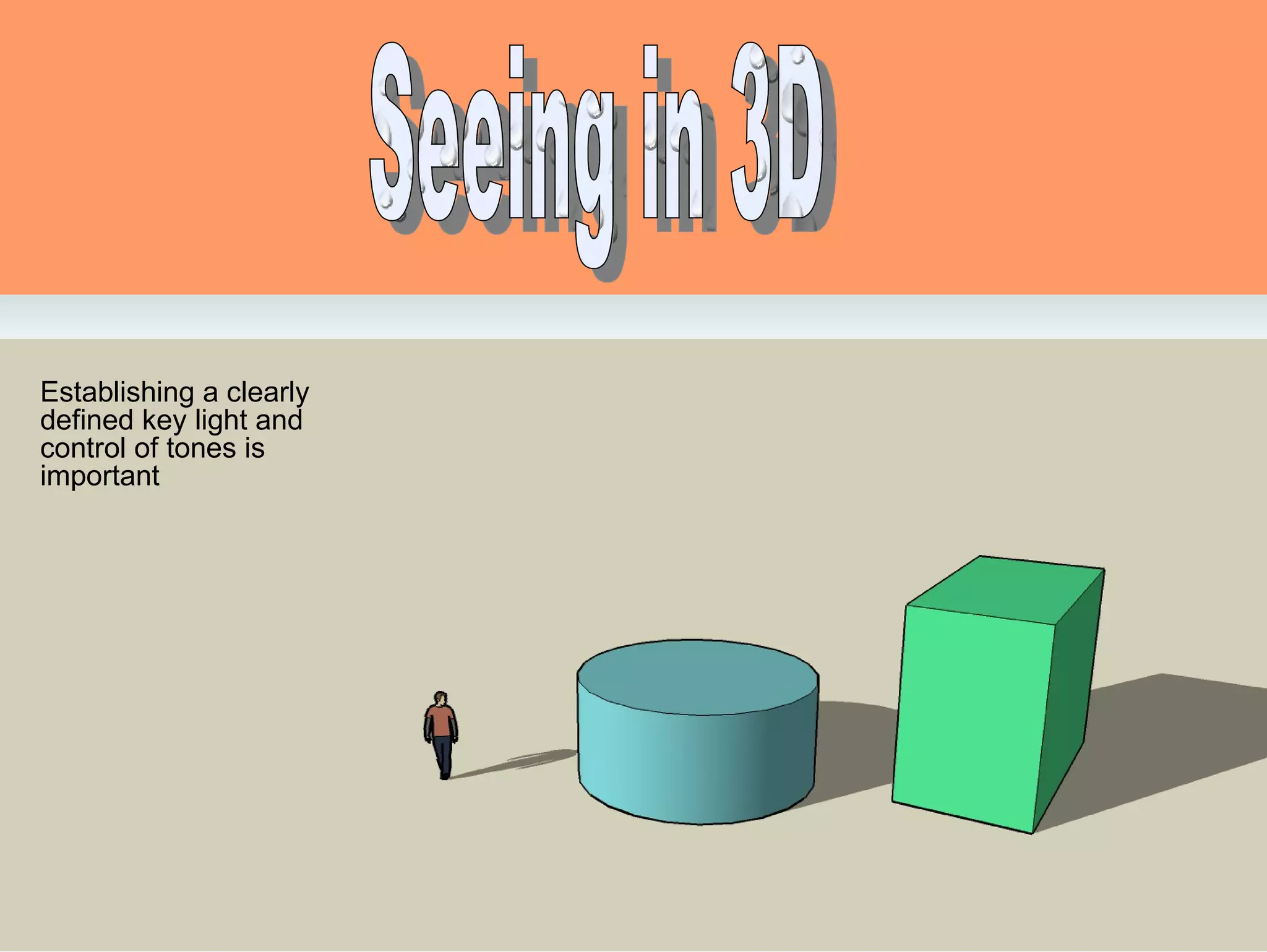Establishing a clearly
defined key light and
control of tones is
important
 