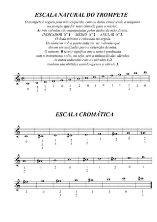 ESCALA NATURAL DO TROMPETE
    O trompete é seguro pela mão esquerda, com os dedos envolvendo a máquina,
                   na posição que for mais cômoda para o músico.
           As três válvulas são manipuladas pelos dedos da mão direita:
               INDICADOR Nº 1 - MÉDIO Nº 2 - ANULAR Nº 3.
                        O dedo mínimo é colocado na argola.
                  Os números sob a pauta indicam as válvulas que
                    devem ser utilizadas para a obtenção da nota.
                 O número 0 (zero) significa que a nota é produzida
          com o instrumento solto, ou seja, sem a utilização das válvulas.
                       As notas indicadas com as válvulas 1-2
                   também são obitidas usando apenas a válvula 3.


                      w w w w w w
& c           w w w w
    w w w w w 1 2 0 1 0 1 0 1 2 0
             1        1   1        0
         0            2                2                                   2
             3




                              ESCALA CROMÁTICA

& w              #w       w            #w       w         w       #w       w   #w
                                                 1        1        2       0        2
        0         1        1            2
                                                 2                                  3
                  2        3            3
                  3


                          w            w        #w        w       #w       w    w
&w           #w
    1            1        2            0         1        1        2       0    1


                                                                       w       #w
                                                 2

                                                              w
    2


    #w            w           #w            w        #w
&
        2            0         2            1         1       2        0        1
                               3            2                                   2
 