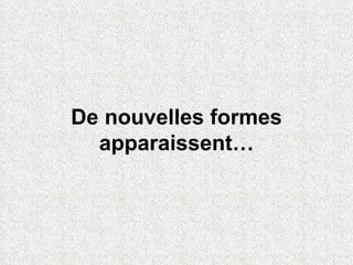 De nouvelles formes apparaissent… 