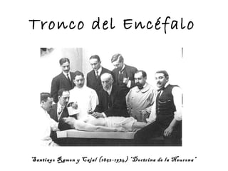 Tronco del Encéfalo Santiago Ramon y Cajal (1852-1934) “Doctrina de la Neurona” 