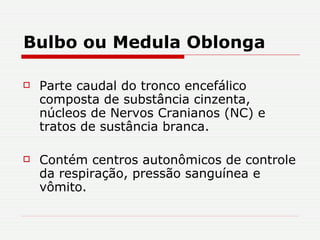 Bulbo ou Medula Oblonga Parte caudal do tronco encefálico composta de substância cinzenta, núcleos de Nervos Cranianos (NC) e tratos de sustância branca.  Contém centros autonômicos de controle da respiração, pressão sanguínea e vômito. 