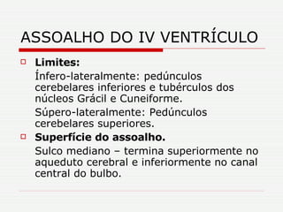 ASSOALHO DO IV VENTRÍCULO  Limites: Ínfero-lateralmente: pedúnculos cerebelares inferiores e tubérculos dos núcleos Grácil e Cuneiforme. Súpero-lateralmente: Pedúnculos cerebelares superiores. Superfície do assoalho. Sulco mediano – termina superiormente no aqueduto cerebral e inferiormente no canal central do bulbo.  