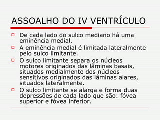 ASSOALHO DO IV VENTRÍCULO De cada lado do sulco mediano há uma eminência medial. A eminência medial é limitada lateralmente pelo sulco limitante. O sulco limitante separa os núcleos motores originados das lâminas basais, situados medialmente dos núcleos sensitivos originados das lâminas alares, situados lateralmente. O sulco limitante se alarga e forma duas depressões de cada lado que são: fóvea superior e fóvea inferior. 