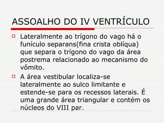 ASSOALHO DO IV VENTRÍCULO Lateralmente ao trígono do vago há o funículo separans(fina crista oblíqua) que separa o trígono do vago da área postrema relacionado ao mecanismo do vômito. A área vestibular localiza-se lateralmente ao sulco limitante e estende-se para os recessos laterais. É uma grande área triangular e contém os núcleos do VIII par. 
