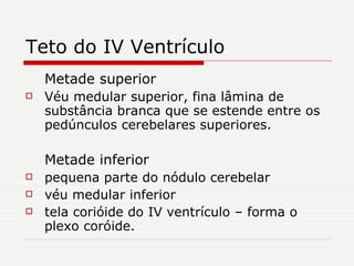 Teto do IV Ventrículo Metade superior   Véu medular superior, fina lâmina de substância branca que se estende entre os pedúnculos cerebelares superiores. Metade inferior   pequena parte do nódulo cerebelar véu medular inferior tela corióide do IV ventrículo – forma o plexo coróide.  