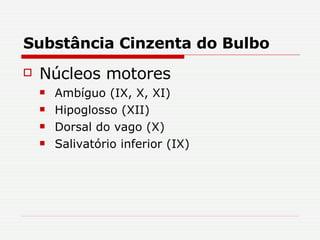 Substância Cinzenta do Bulbo Núcleos motores Ambíguo (IX, X, XI)  Hipoglosso (XII) Dorsal do vago (X) Salivatório inferior (IX) 