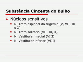 Substância Cinzenta do Bulbo Núcleos sensitivos N. Trato espinhal do trigêmio (V, VII, IX e X) N. Trato solitário (VII, IX, X) N. Vestibular medial (VIII) N. Vestibular inferior (VIII) 