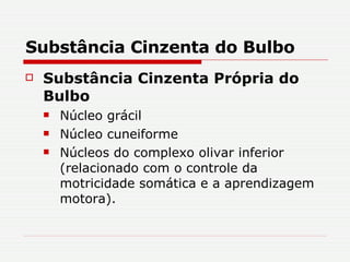 Substância Cinzenta do Bulbo Substância Cinzenta Própria do Bulbo Núcleo grácil Núcleo cuneiforme Núcleos do complexo olivar inferior (relacionado com o controle da motricidade somática e a aprendizagem motora).  