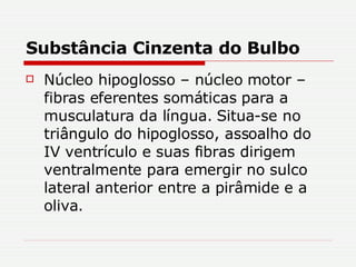 Substância Cinzenta do Bulbo Núcleo hipoglosso – núcleo motor – fibras eferentes somáticas para a musculatura da língua. Situa-se no triângulo do hipoglosso, assoalho do IV ventrículo e suas fibras dirigem ventralmente para emergir no sulco lateral anterior entre a pirâmide e a oliva. 