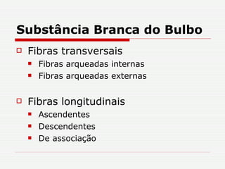 Substância Branca do Bulbo Fibras transversais Fibras arqueadas internas Fibras arqueadas externas Fibras longitudinais Ascendentes Descendentes De associação 
