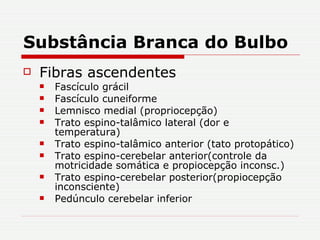 Substância Branca do Bulbo Fibras ascendentes Fascículo grácil Fascículo cuneiforme Lemnisco medial (propriocepção) Trato espino-talâmico lateral (dor e temperatura) Trato espino-talâmico anterior (tato protopático) Trato espino-cerebelar anterior(controle da motricidade somática e propiocepção inconsc.) Trato espino-cerebelar posterior(propiocepção inconsciente) Pedúnculo cerebelar inferior 